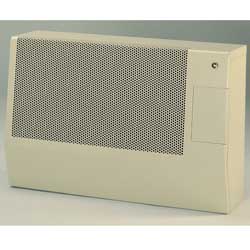 Drugasar Heater Art 5 Balanced Flue Gas Wall